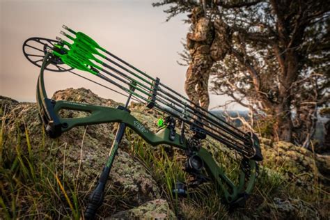 Bear creek archery - Explore the lineup of Bear Archery bowhunting traditional bows including both recurve bows, and longbows. Unmatched craftsmanship and iconic designs from Fred Bear, the Godfather of Bowhunting. 